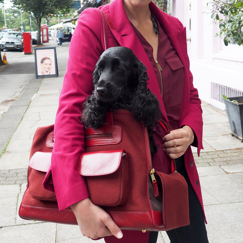 VICHY DOG CARRIER - WINE