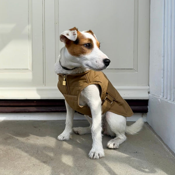 Verbier Dog coat  - camel