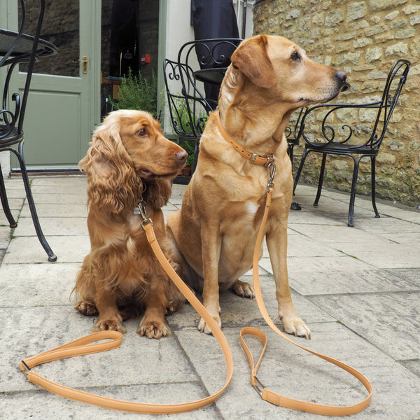 Annabelle Dog Collar - Peach