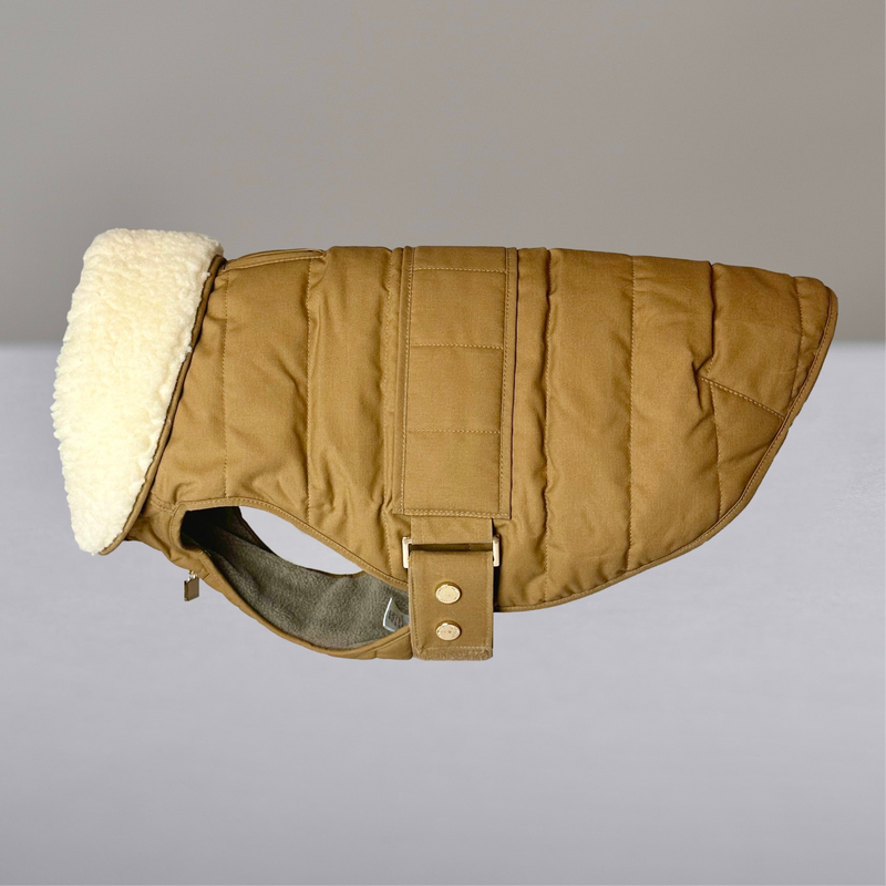 Verbier Dog coat  - camel