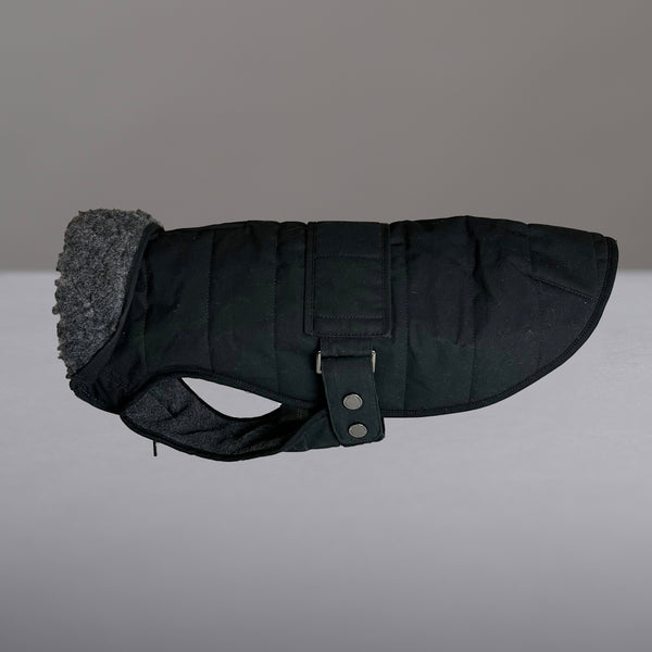 Verbier Dachshund coat  - Black