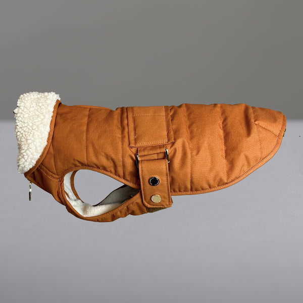 Verbier Dachshund coat  - spice