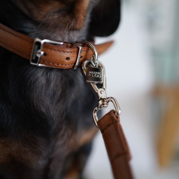 Gerald Dog Collar - Tan