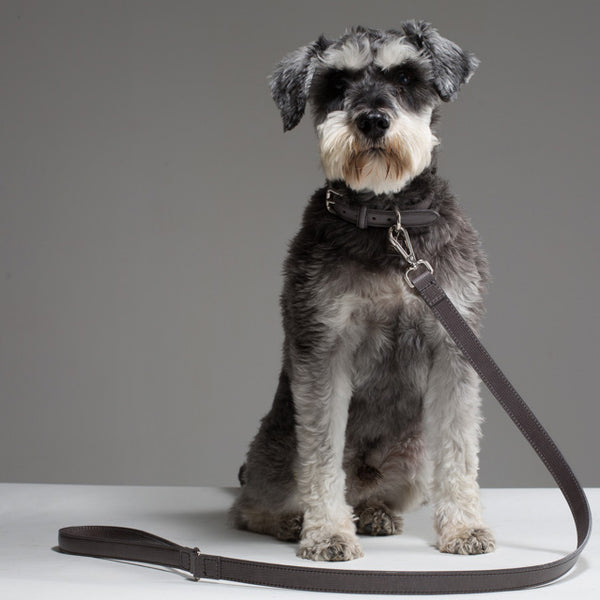 Fergus Dog Lead- Dark Grey