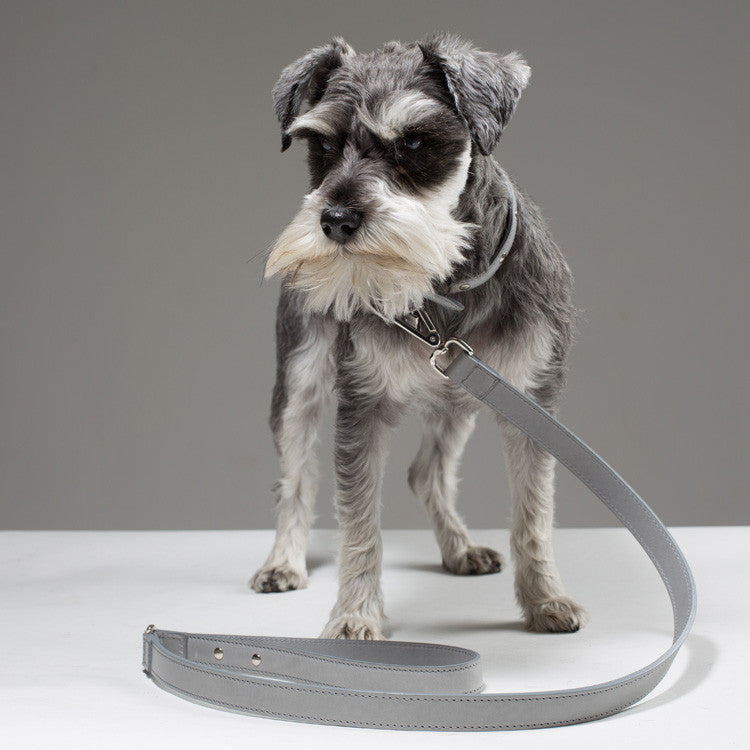 Gloria Luxury Leather Dog Collar - Soft Grey – Maison Le Lou