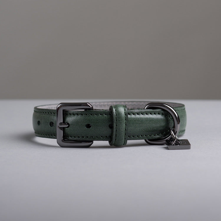 Gregory Dog Collar - Forest