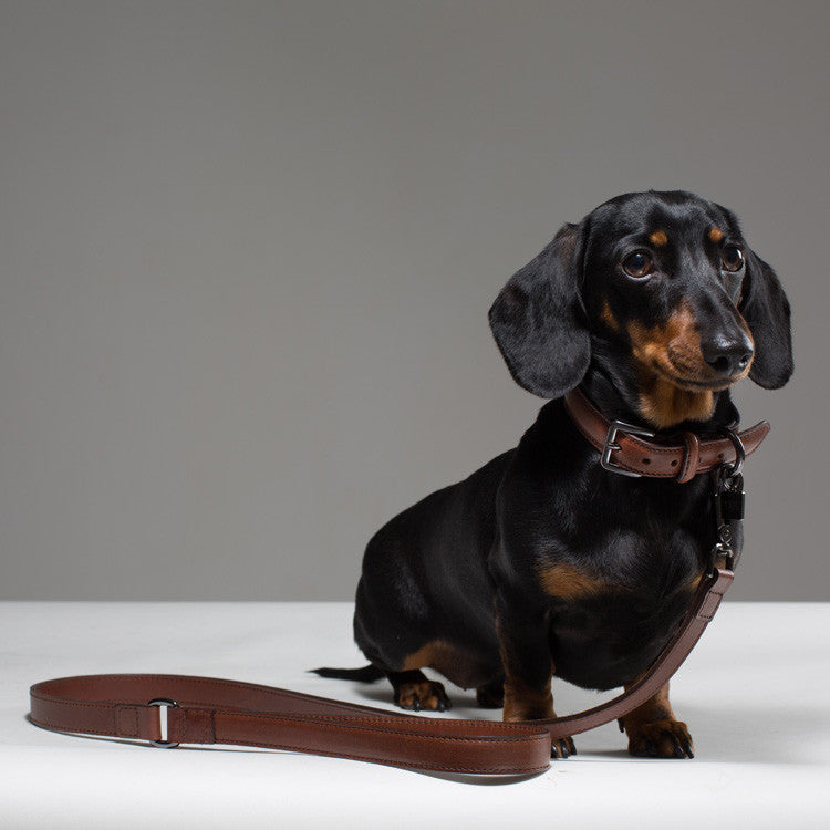 Maison Le Lou Luxury Leather dog collar