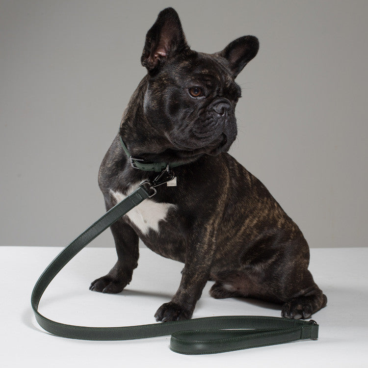 Maison Le Lou Luxury Leather dog collar French Bulldog