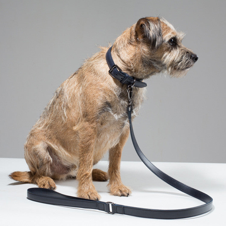 Gregory Dog Collar - French Navy