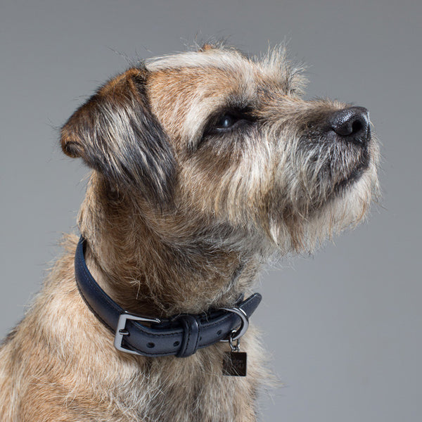 Gregory Dog Collar - French Navy