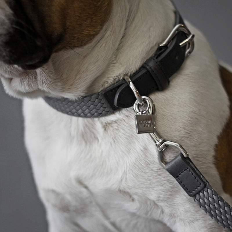 Bernard Dog Collar - Grey