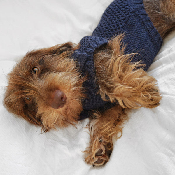 Moritz Dog Sweater & Sleepy Snack bundle  - In your choice of colour