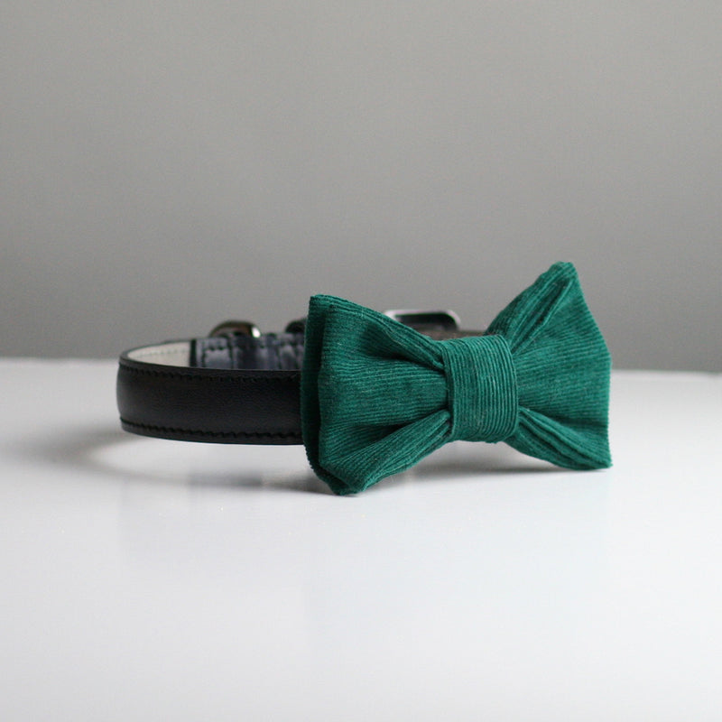 Rory Corduroy Bow Tie - Teal