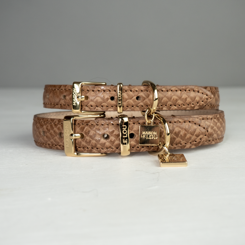 Posh dog collar hot sale