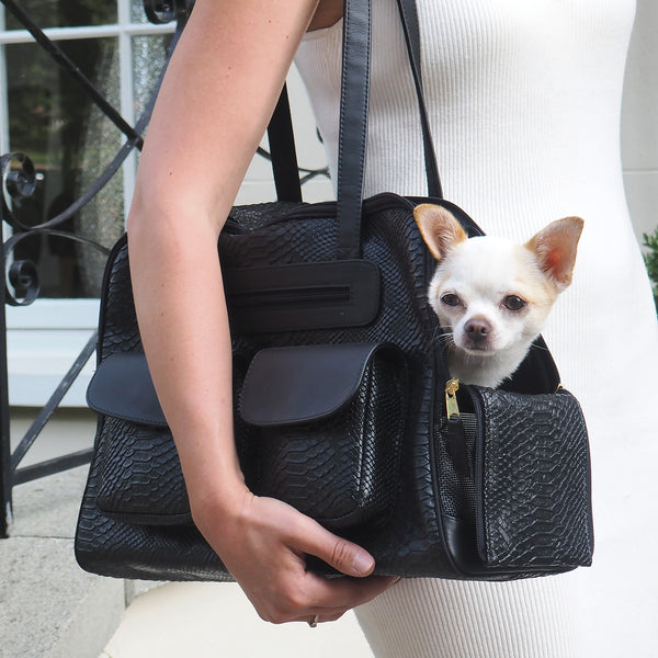 Louis Vuitton dog bag, web-a-porter.co/, Delcho D
